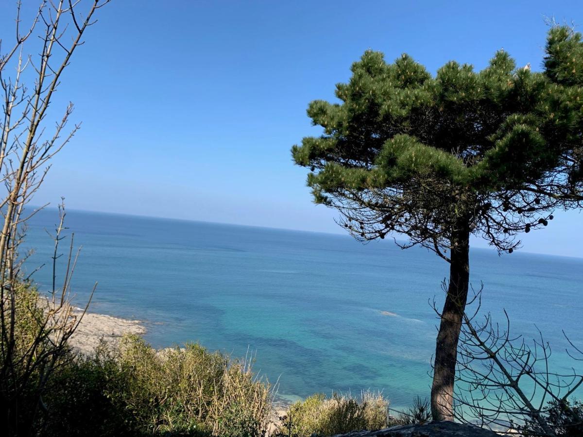 Appartement Villa Chausey, Vue Sur Le Port Granville Dış mekan fotoğraf